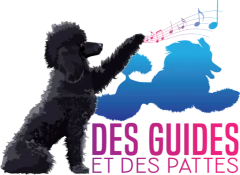 Des guides et des pattes